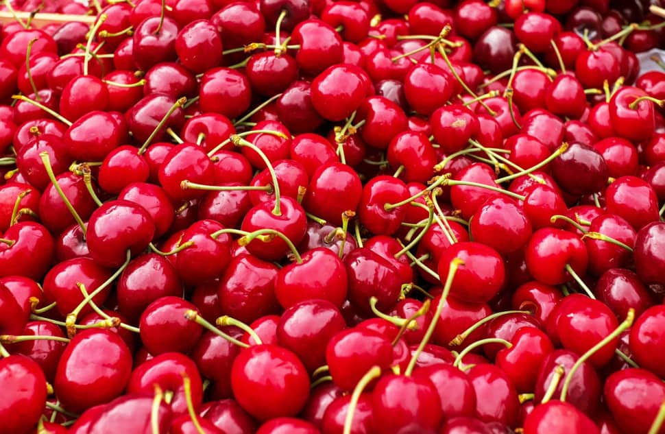 A photo of cherries that haven39t been