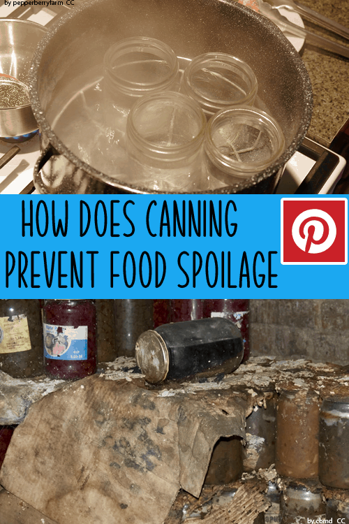 how does canning prevent food spoilage