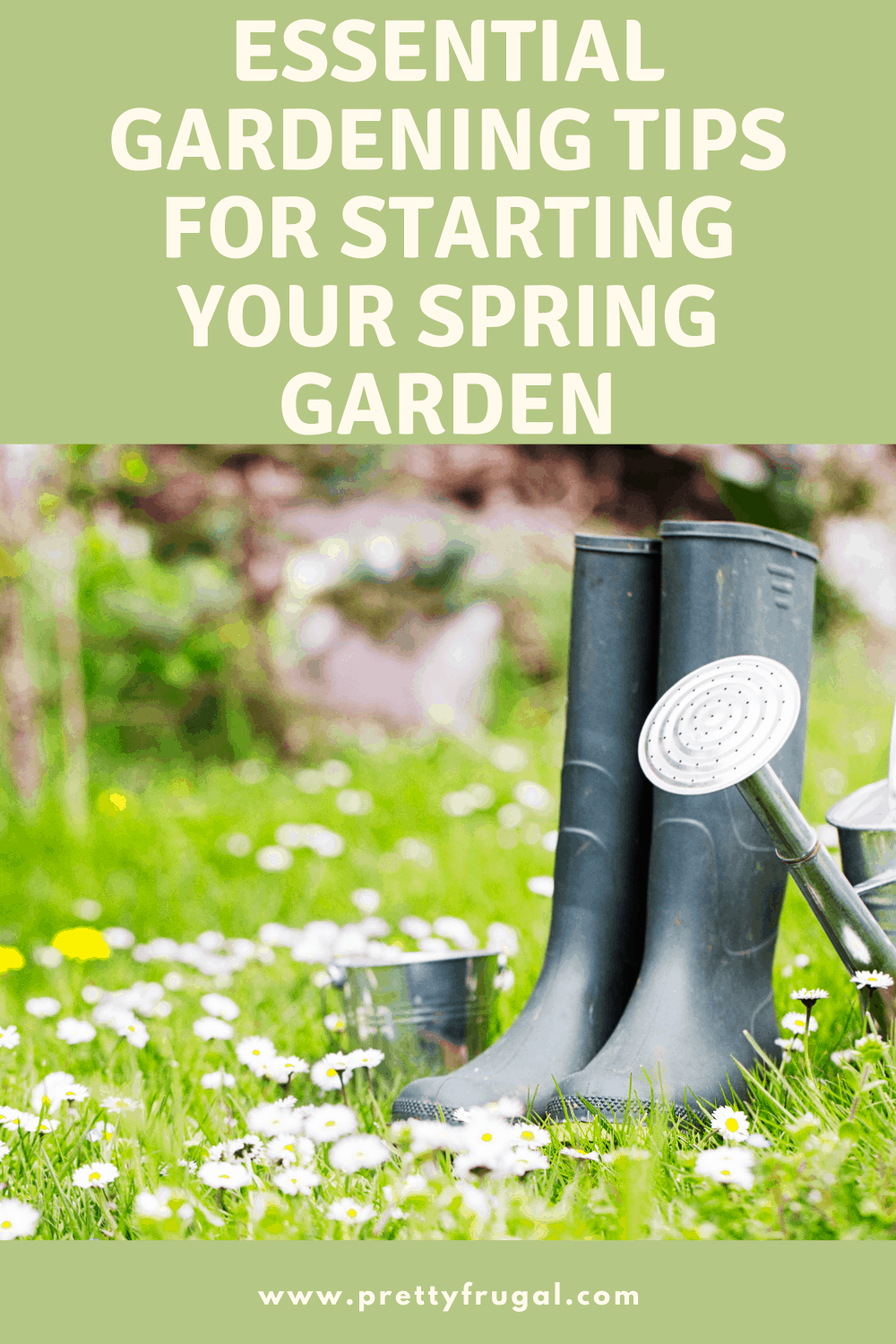 Spring Gardening Tips Essential Gardening Tips for Starting Your Spring Garden