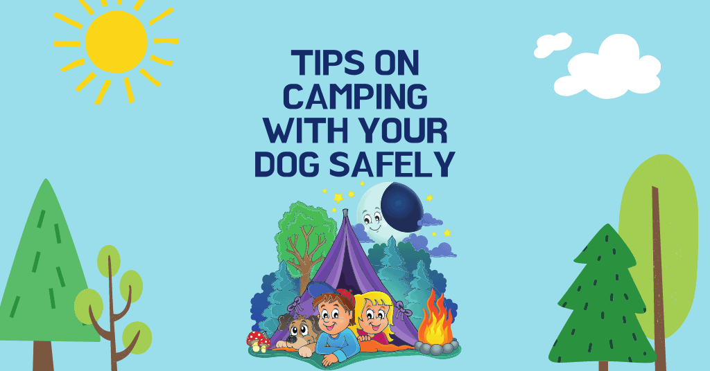 camping with a dog